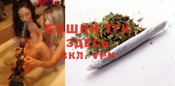 тгк Аркадак
