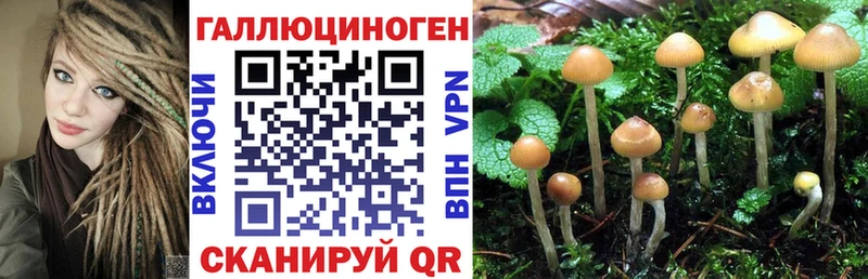 Псилоцибиновые грибы мухоморы  кракен онион  Минеральные Воды  где можно купить  