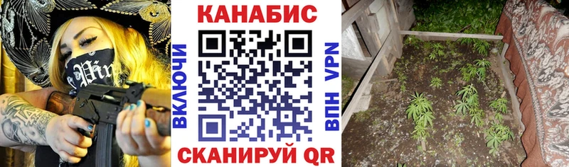 Шишки марихуана White Widow  Минеральные Воды 
